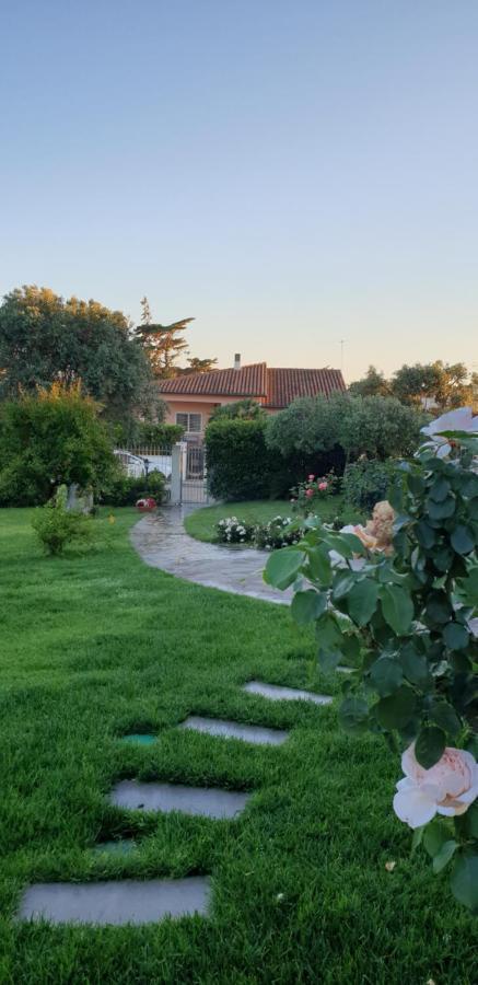 Villa Luce B&B Olbia Zewnętrze zdjęcie